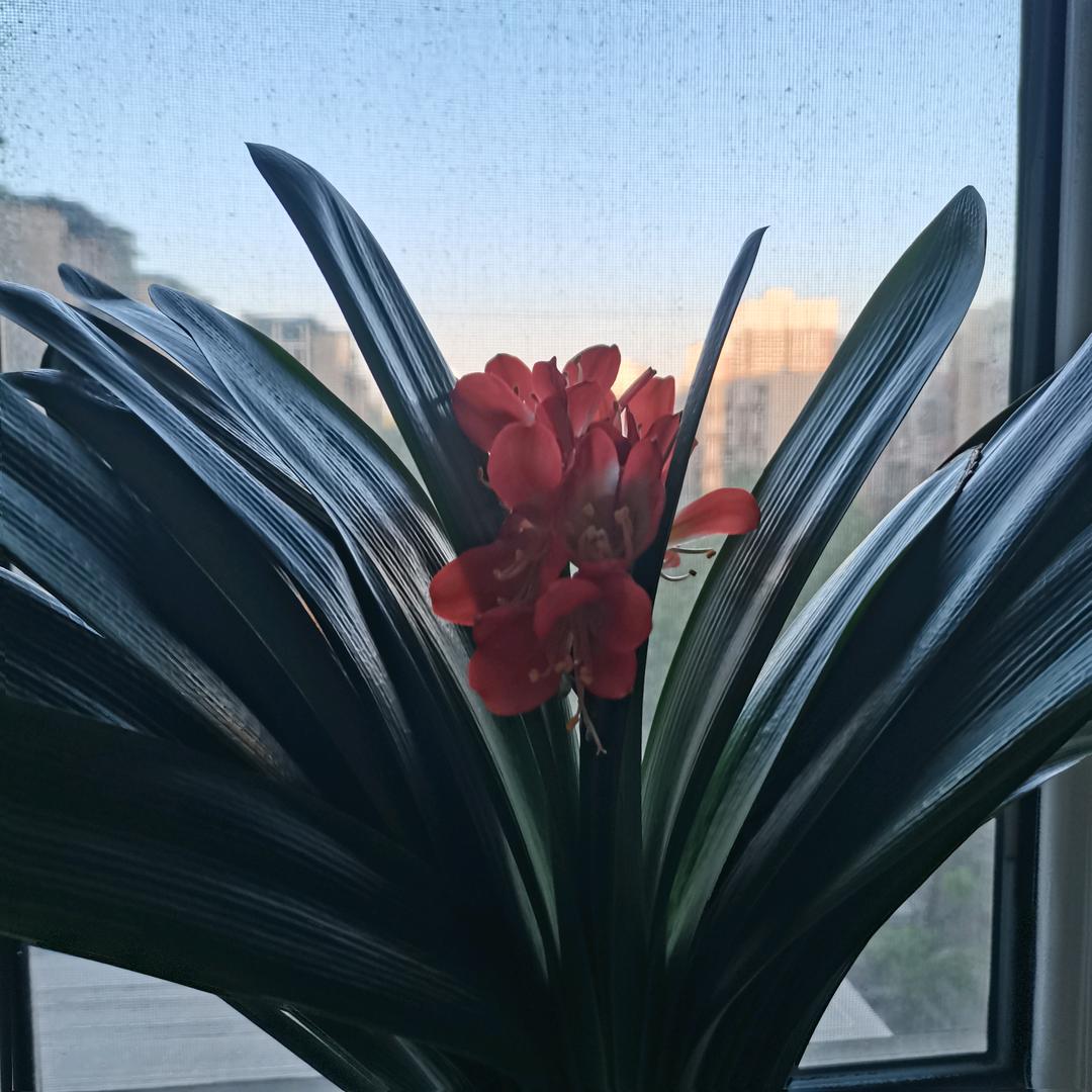 静鑫