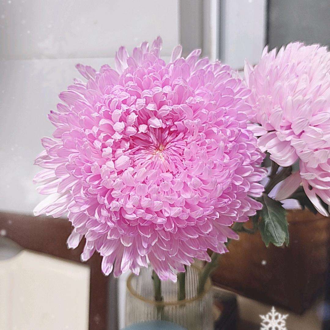 华姐，开开心心过好每一天