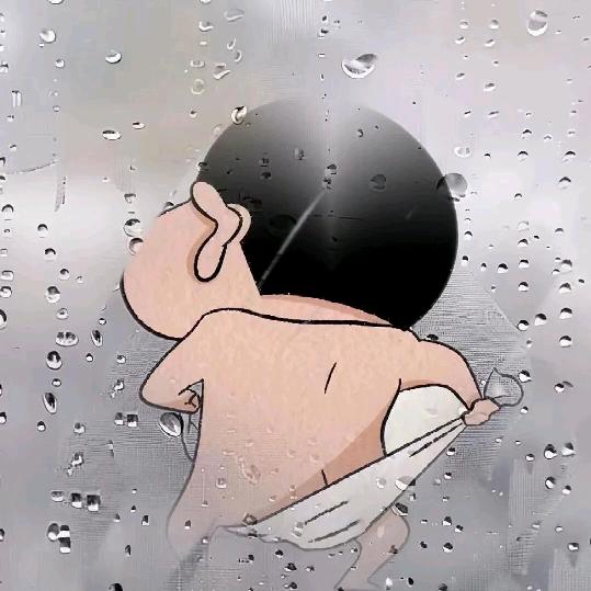 狐狸不熬夜
