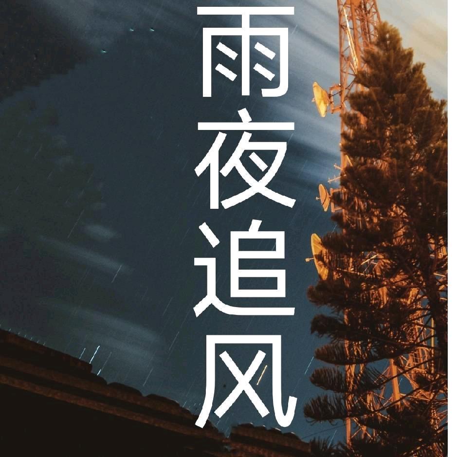雨夜追风