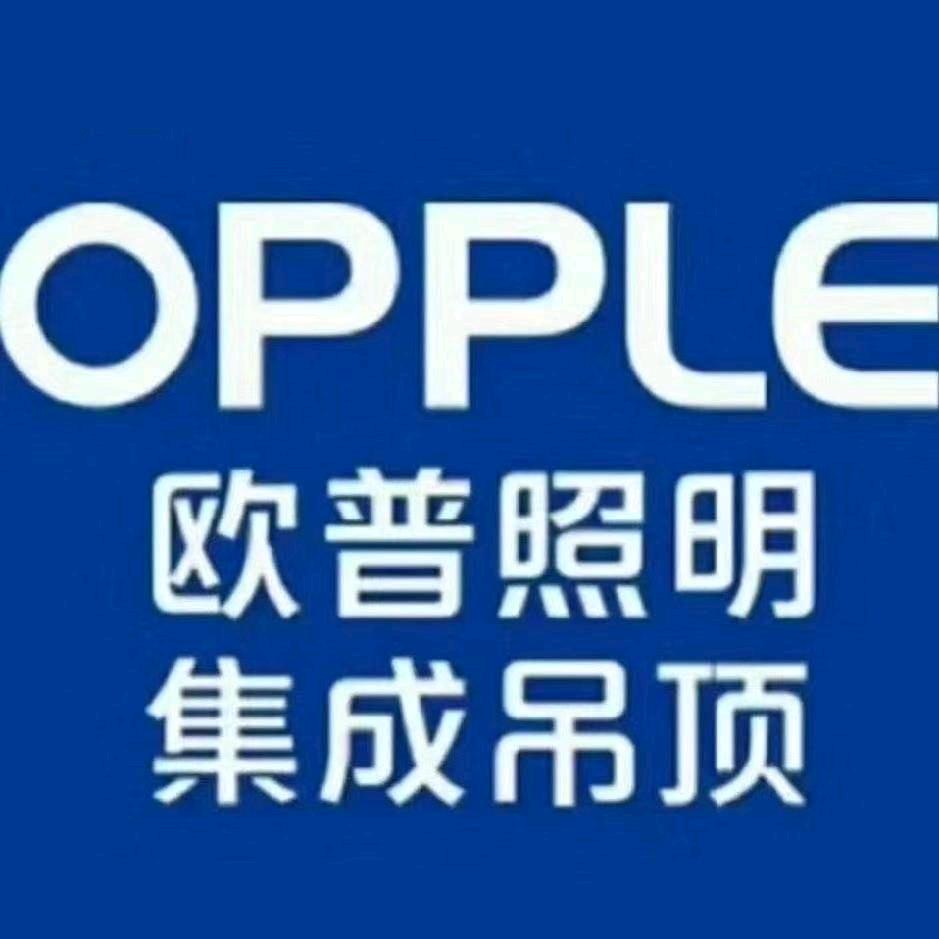 欧普照明（将乐）