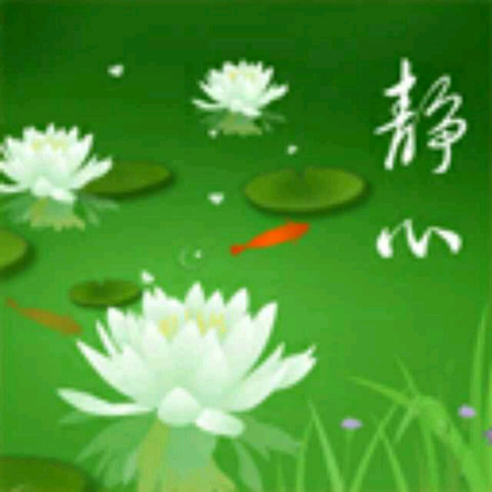 缘之聚