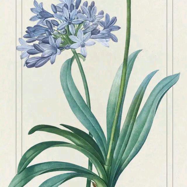 河南亲爱的520