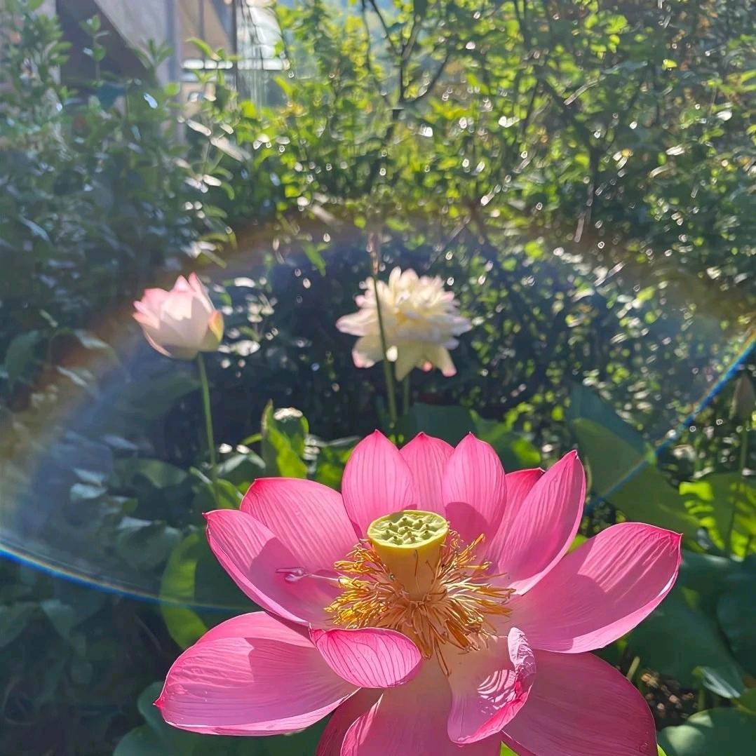 春沪上