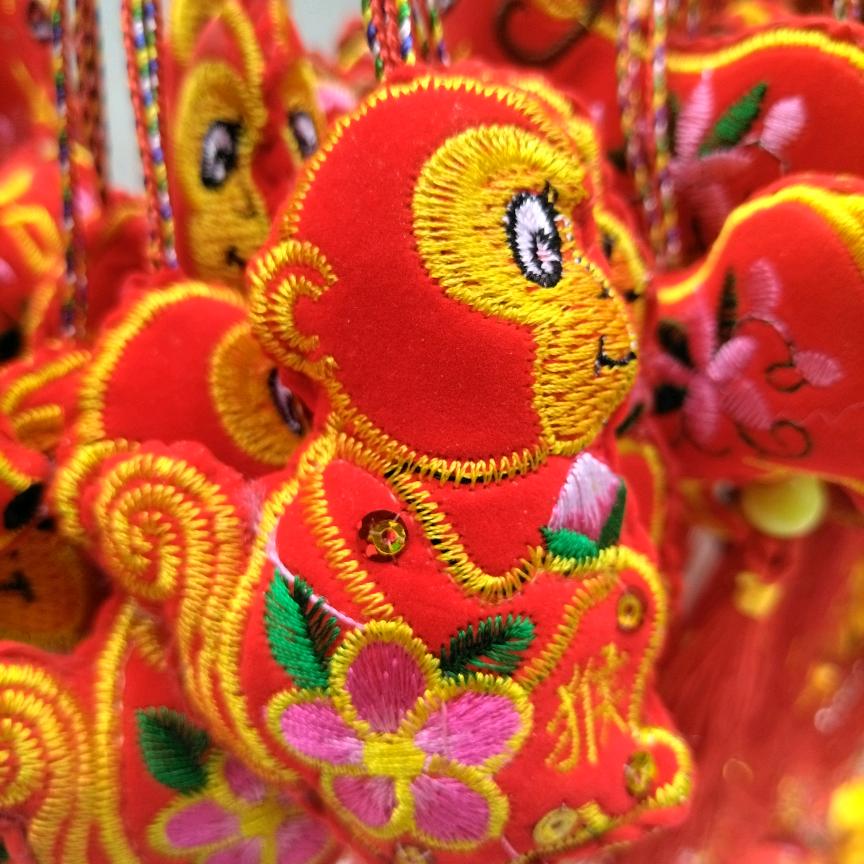 随风归来