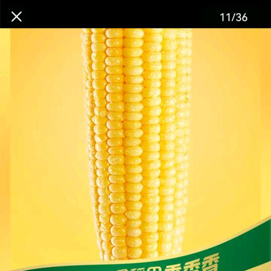 羽绒服清洁湿巾强力去污免水洗小白鞋小包装