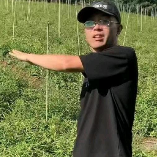 农人阿西