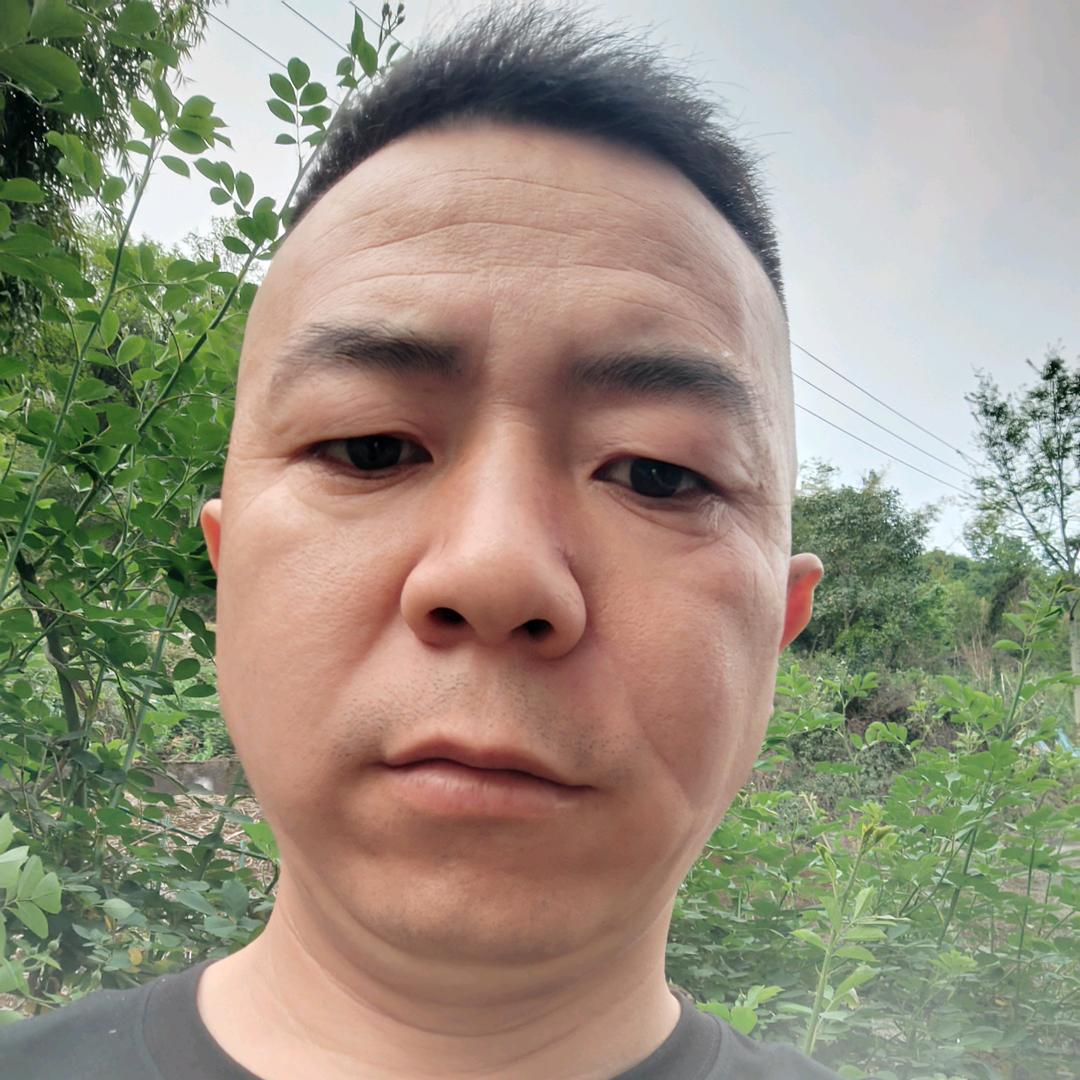 金福赛鸽.贺福全