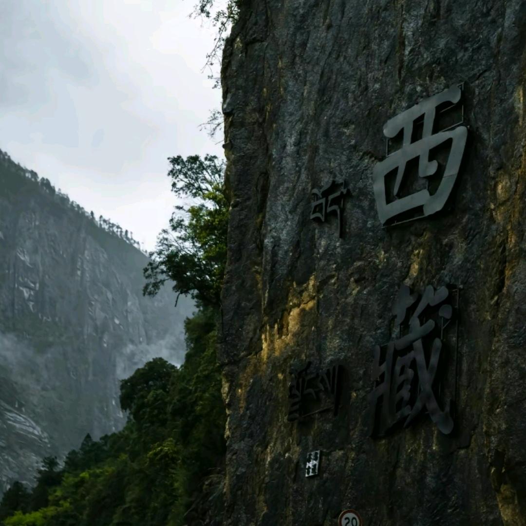 风  雨  同  行