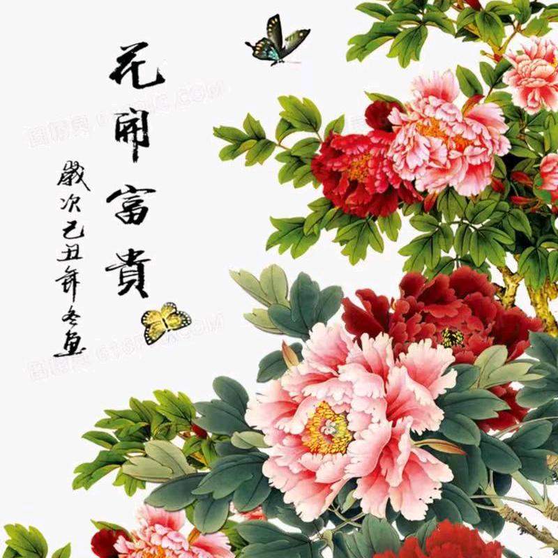 小孟一米六🎀