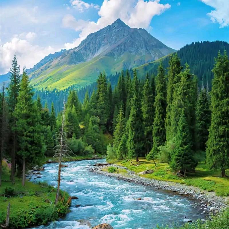 绿水青山