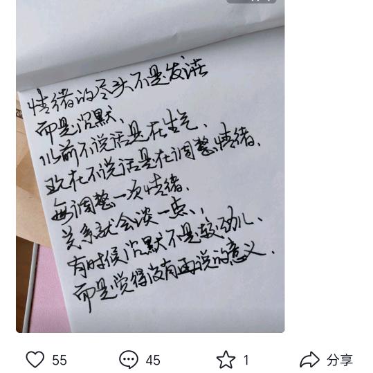 世纪金源朱阿根烧饼