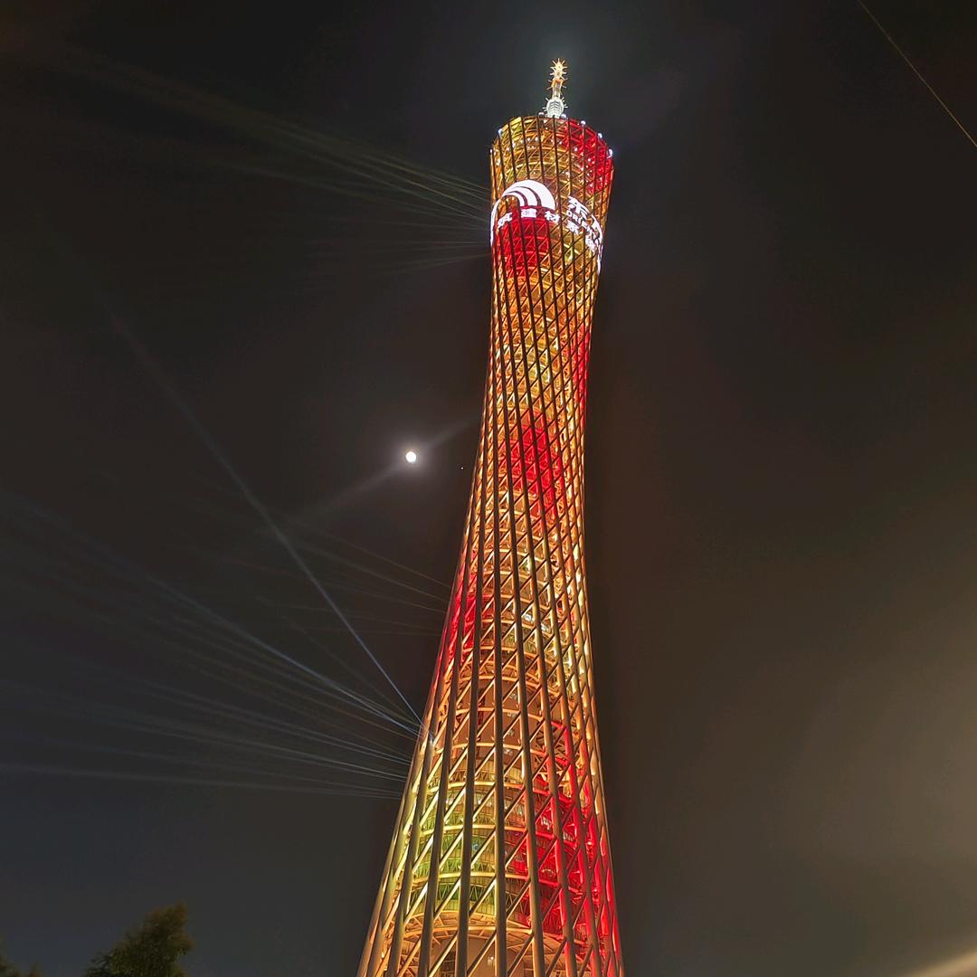 龍游四海