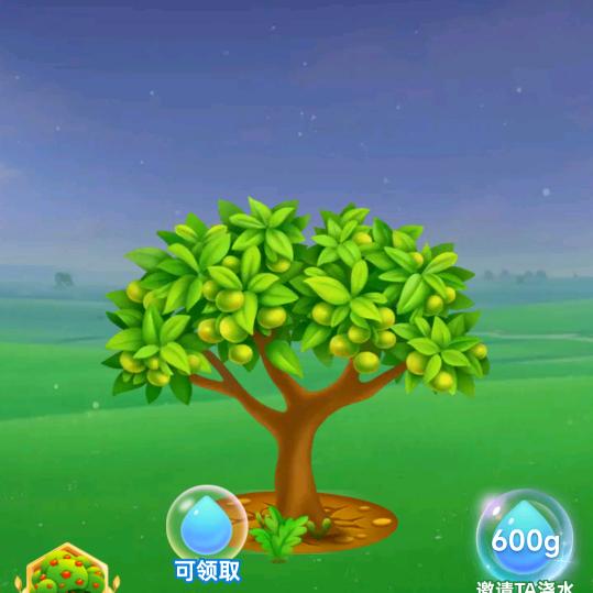 鲨鱼小小天