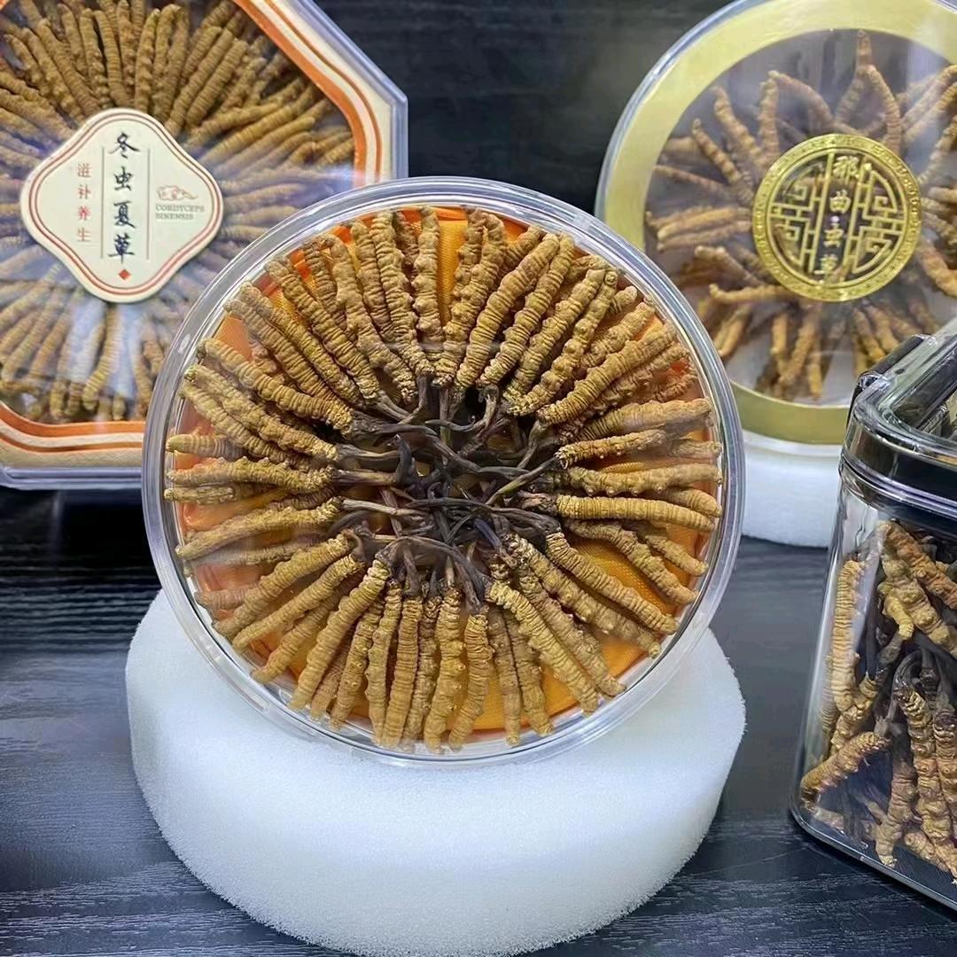 三七参茸