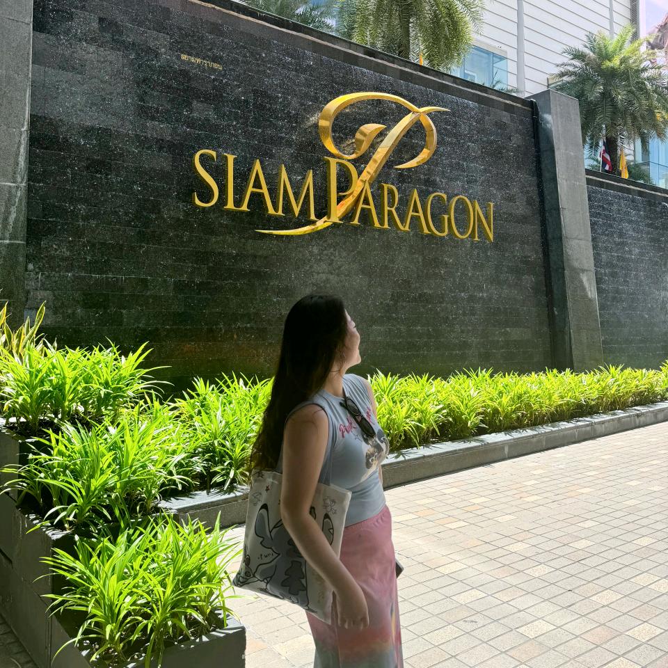 史迪小崽子
