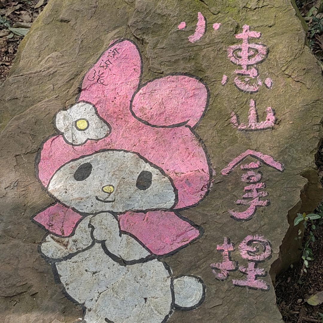 一个人骑着蜗牛闯魔都。