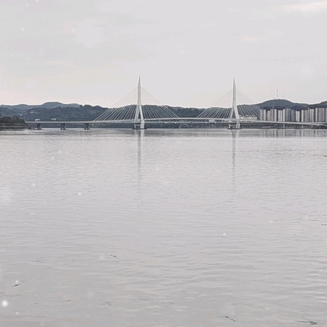 凤雏—为情所困