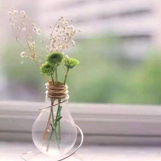 封心❤️锁爱🌹