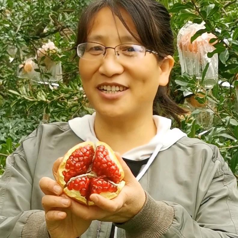 秦十六