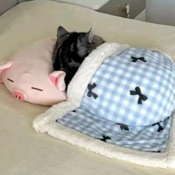 看这个才有力气