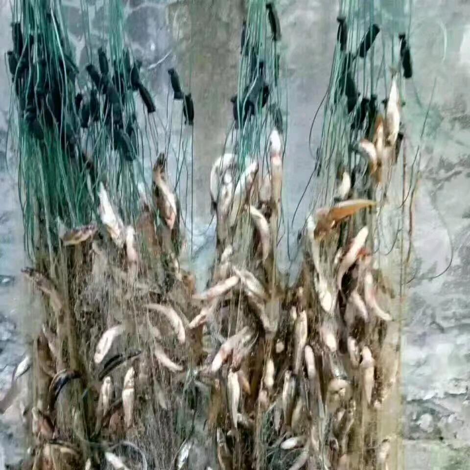 当季水果