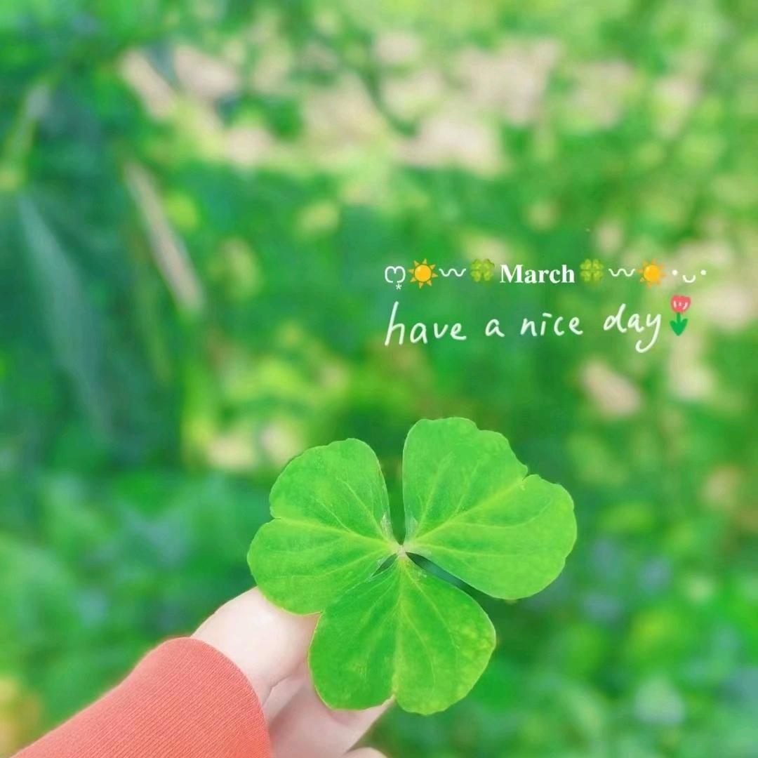 苏~