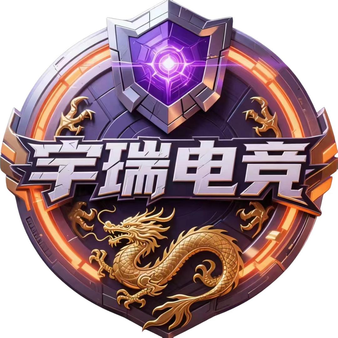 宇瑞无畏电竞(陪🥣进主页)