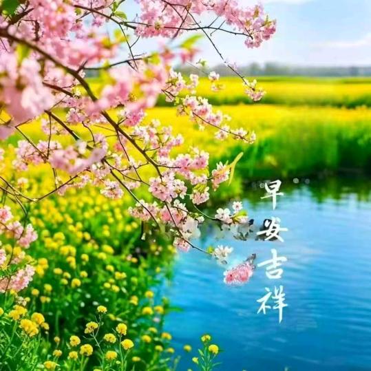 生活的酸甜苦辣