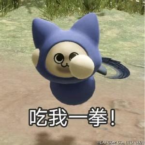 东张西望的猫