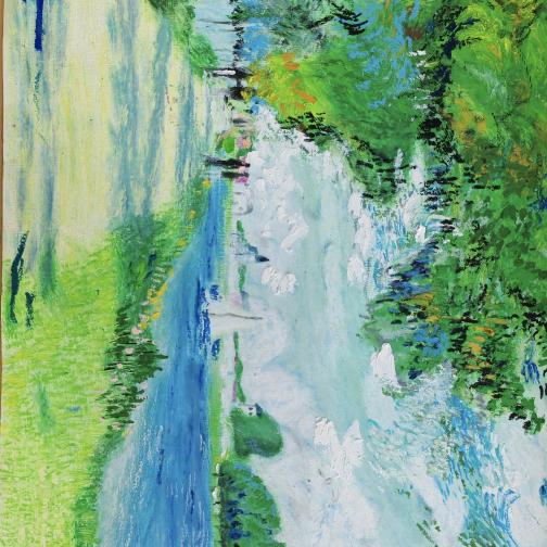 满眼星星的可可