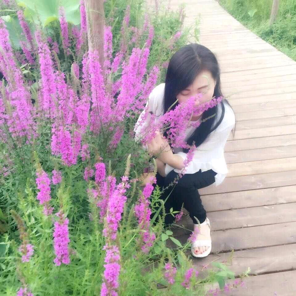 天天向上A