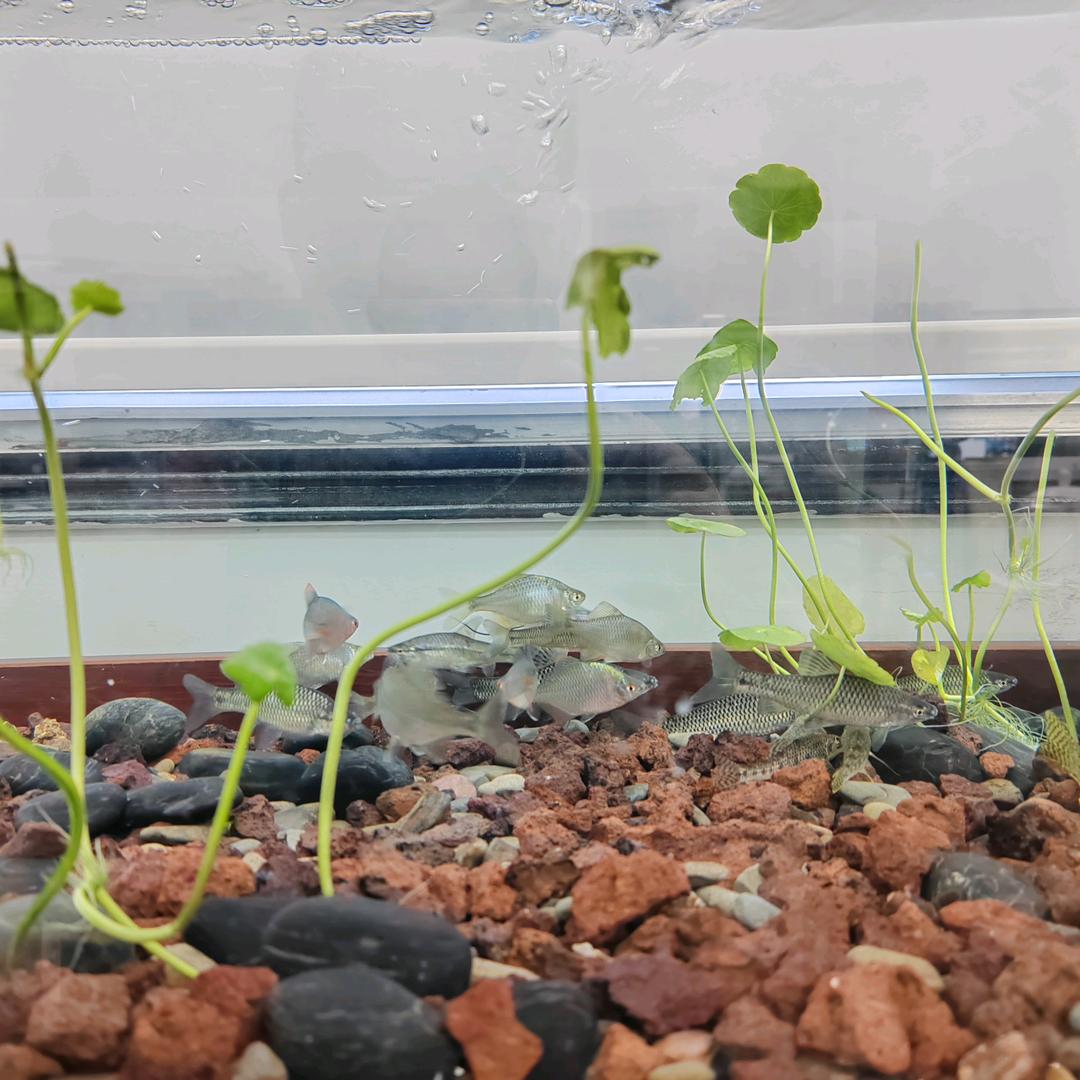 钓鱼圈最好的养鱼选手