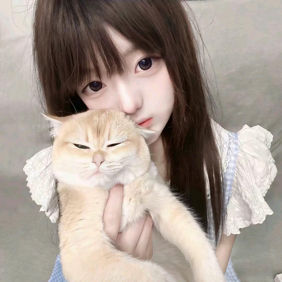 ˇ