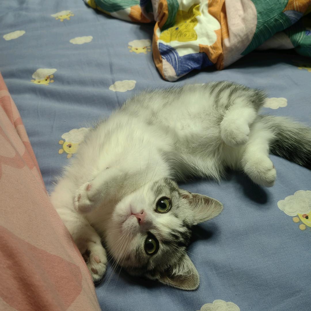 小满胜万全^^