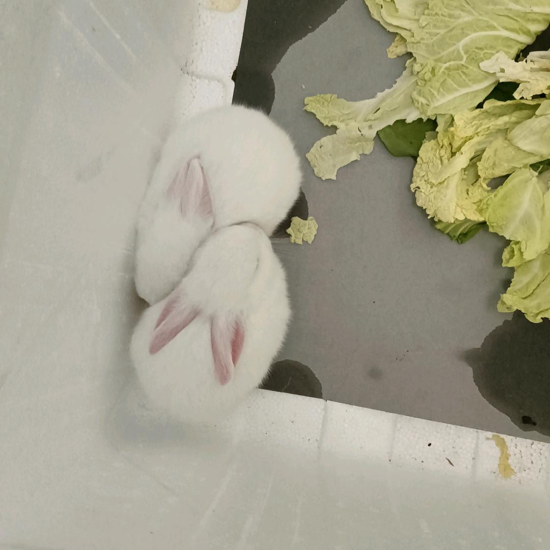用户3841875233719