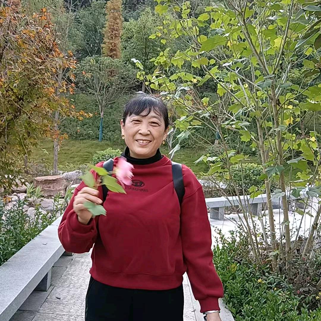 杨三姐