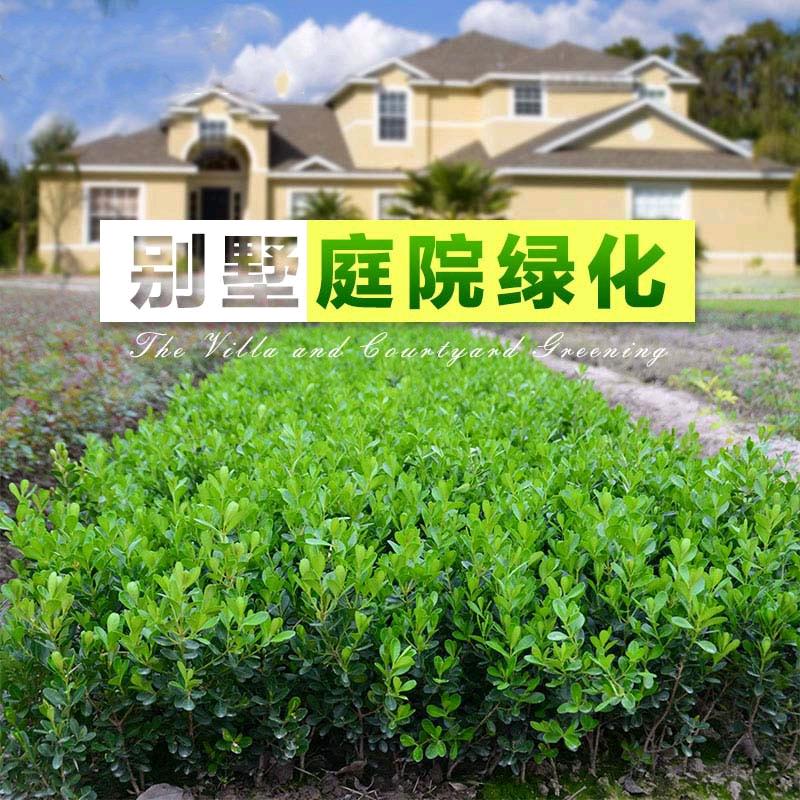四季园林