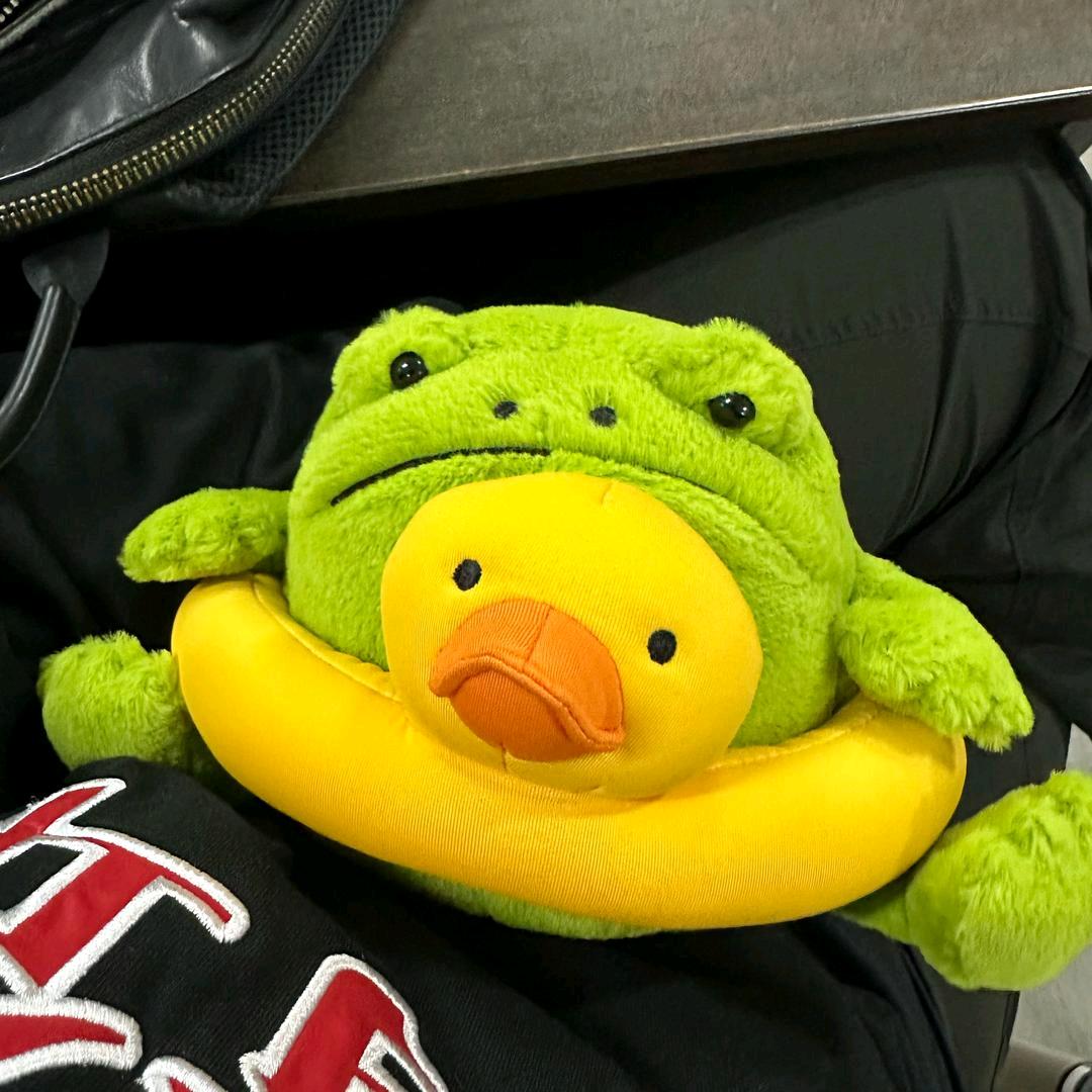 小鲨鲨