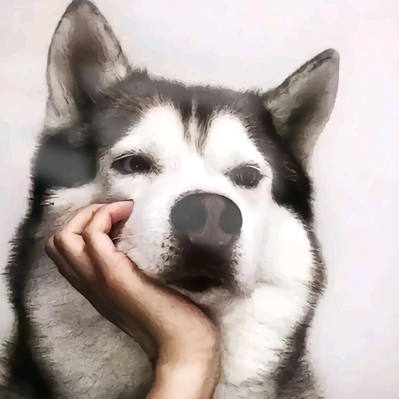 ☞碳烤小肥🐏。