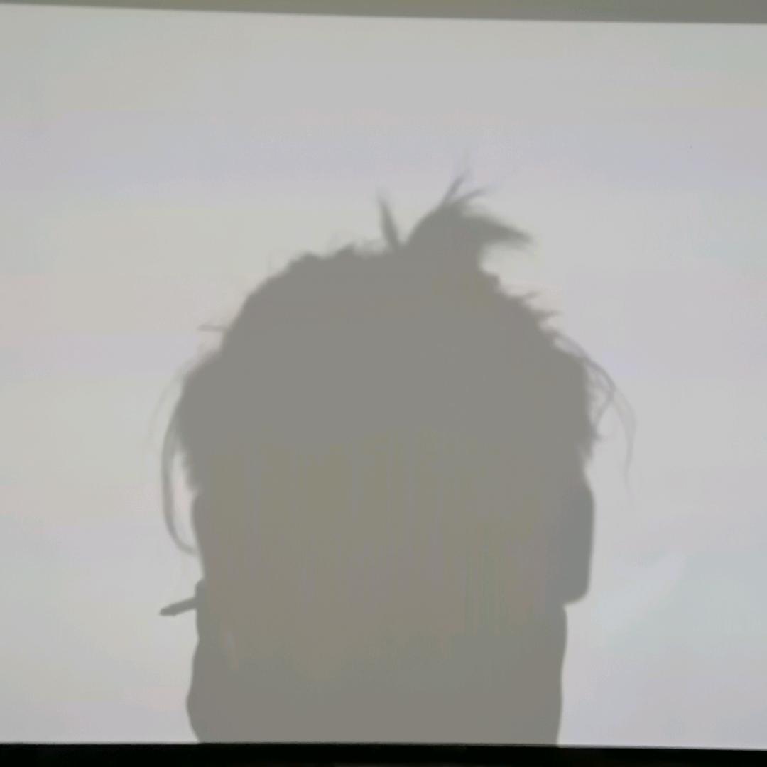 一朵钢丝球