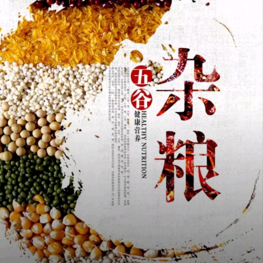 纯谷食光直播号