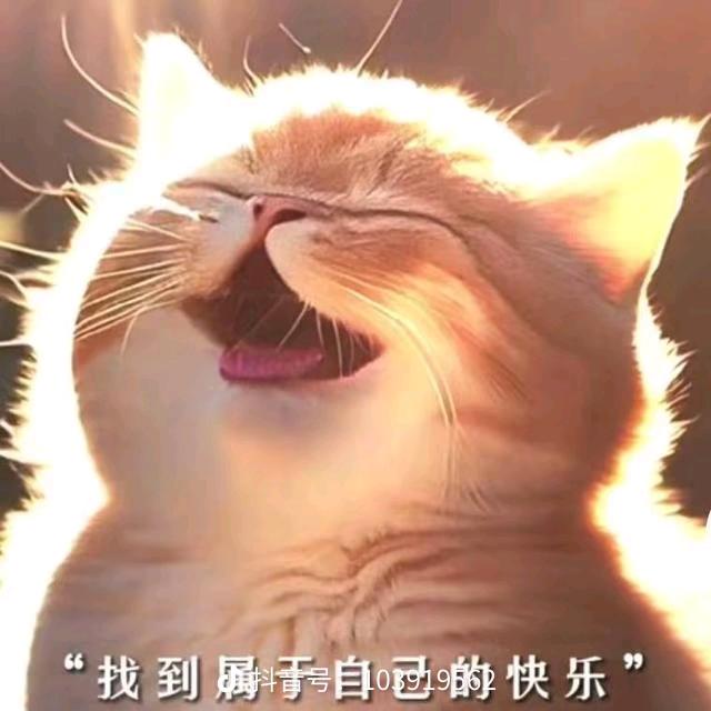 锦上添花