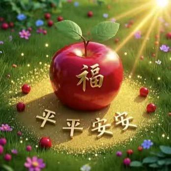 一顺💯顺
