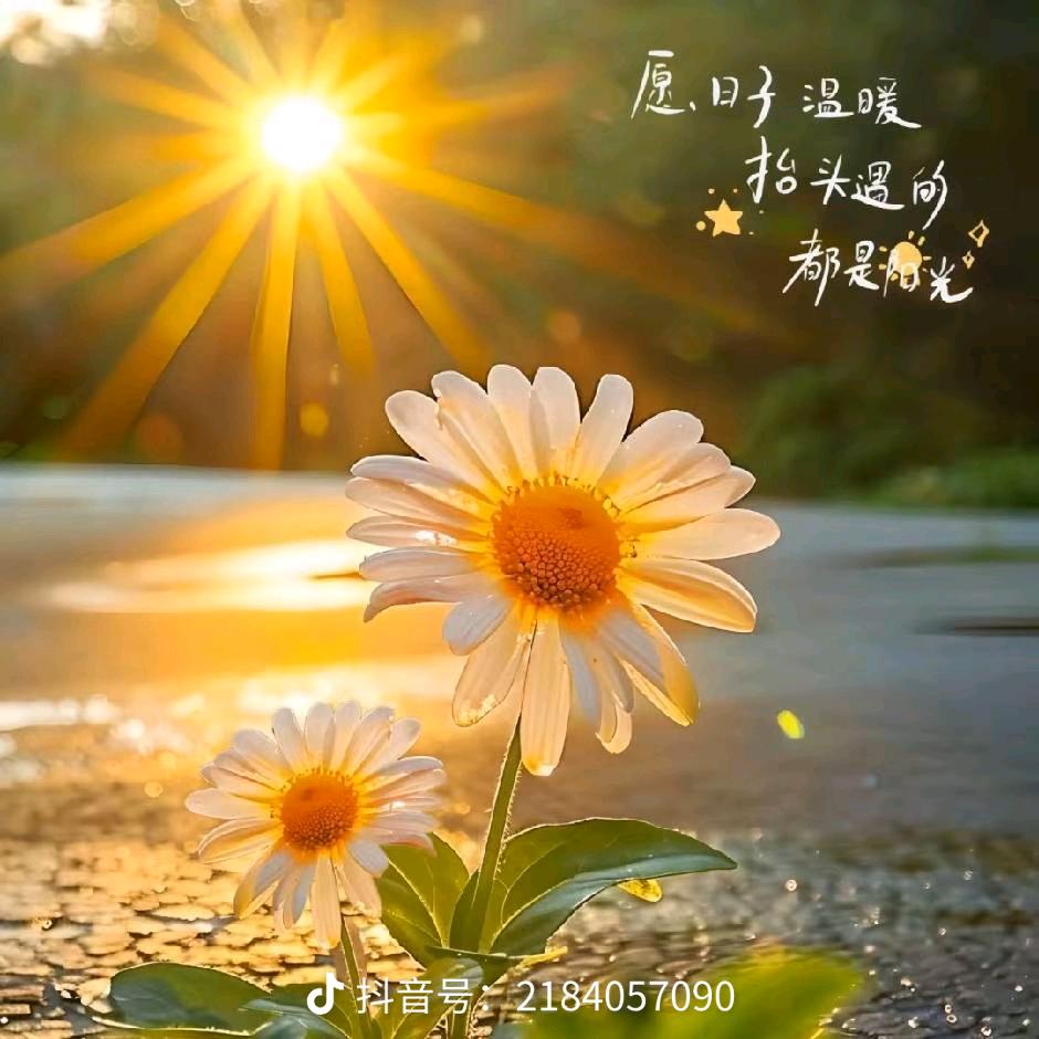 小凡