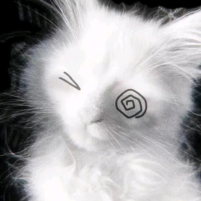 W_Z_