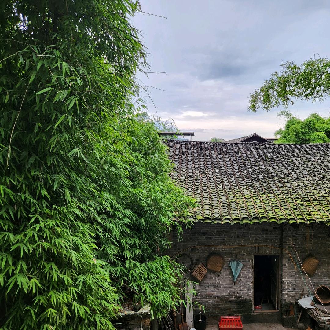 做石材的山东小哥在达州