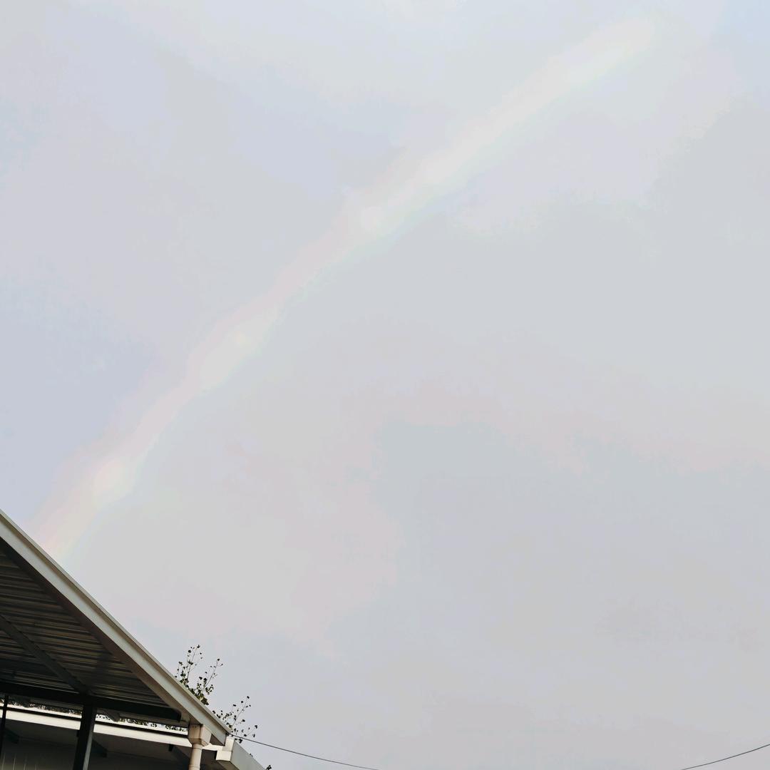 .芈骶铣銕