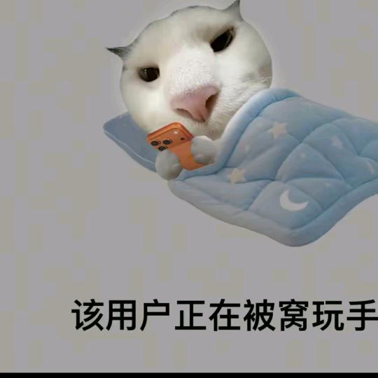 GTY赜