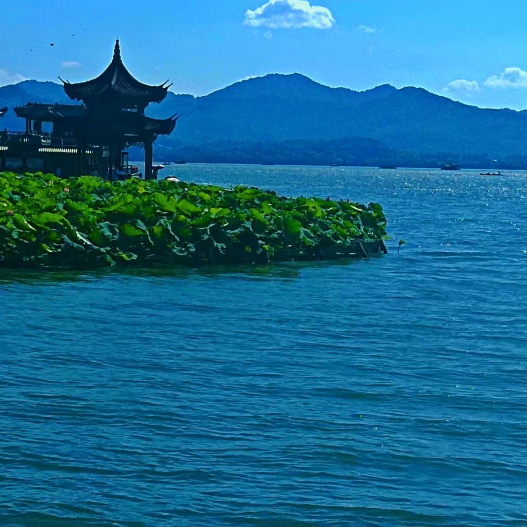 康庄大道